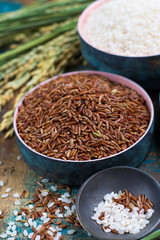 Green rice ears from Camargue rice fields in France and valiety of dried rice in bowls