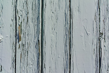 Fototapeta premium Gray old wooden plank texture, background, wallpaper, template