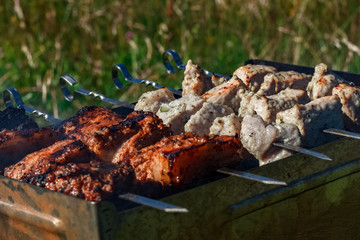 Barbecue grill meat