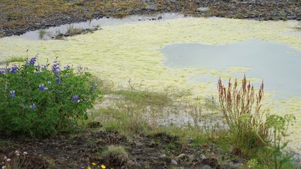 Landschaft in Islands Süd-Westen - Golden Circle: Geysir Strokkur - Pingvellir
