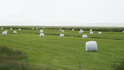 Landschaft in Islands S&uuml;d-Westen - Golden Circle: Geysir Strokkur - Pingvellir
