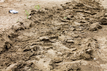 Dried earth excavated. Imprint of agricultural machine.