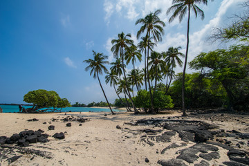 Makalawena Beach Palms, Hawaii