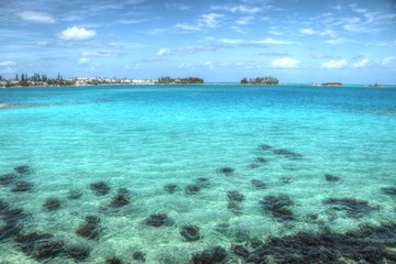 Fototapeta na wymiar Bermuda