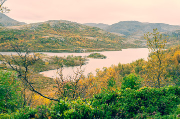 Fototapeta na wymiar Small lake in the Scottish highlands surrounded by vegetation