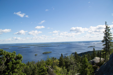 Forest and lake Pielisjärvi landscape on the mountain Koli, summer 
