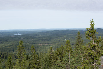 Kesämaisema Kolilta, Akka-Koli