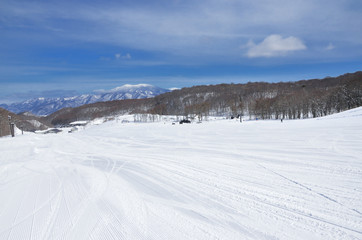 Fototapeta na wymiar 冬晴れのスキー場