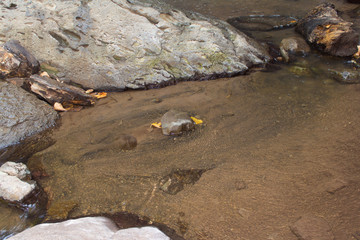 Image of surface water with rocks underwater background