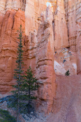 Bryce Canyon National Park, Utah, Hoodoos, Spires Pinnacles, Red Rock