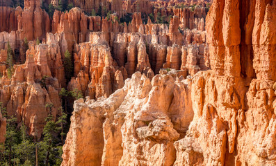 Bryce Canyon National Park, Utah, Hoodoos, Spires Pinnacles, Red Rock