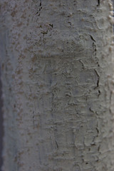 feiner stein hintergrund mit struktur