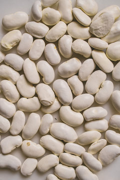 Gigante Beans