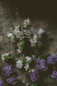 Overhead view of flowers on gray background