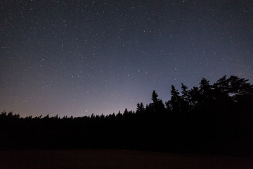 Clear starry night sky and forest silhouette