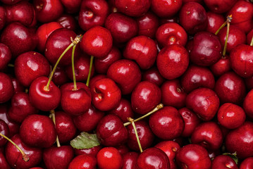 Cherries Background