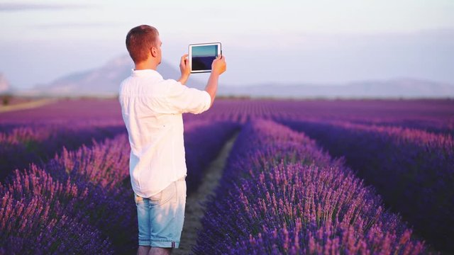 Man Making Pictures of Endless Lavender Fields on a Digital Tablet. 4K. Handsome Male Model using Tablet to take Photos of Provence. Plateau du Valensole, South France.