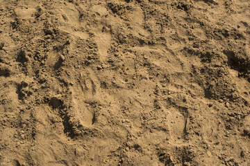 Background texture of sea sand.