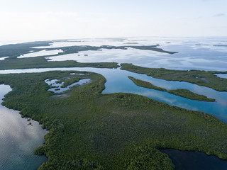 Aerial Image of Turneffe Atoll Mangroves and Lagoon