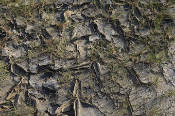 Climate warming dry chapped land