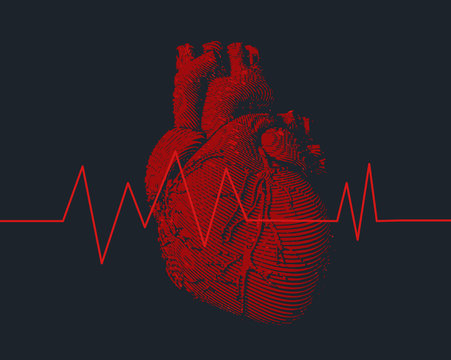 Red human heart with heart rate graph illustration