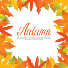 Set of Autumn sale flyer template with lettering, orange leaves. Fall promotion. Poster, banner, card, label, and other design. Vector illustration