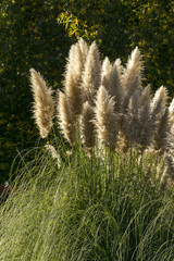 OTO&Ntilde;O EN EL PARQUE