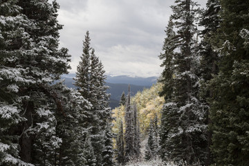 Winter and Fall Collide