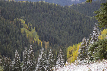 Fall and Winter Landscape