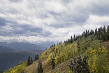 Fall and Winter Overlook