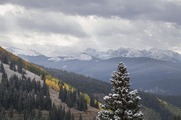 Fall and Winter Collide