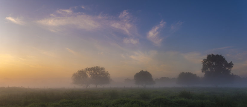 beautiful, foggy morning in the summer meadow, trees and grass covered with mist, colorful sky,panorama