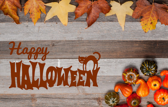 Pumpkins and fall leaves on wooden background. Halloween. Autumn concept
