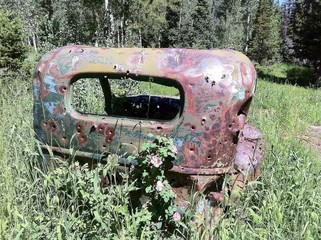 old truck cab sitting in woods