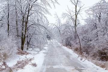 A road in the middle of icy trees