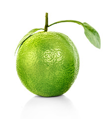 Lime isolated on white background