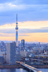 view of tokyo city with tokyo sky tree at sunset time