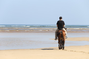 Man Riding Horse on beach ocean wave and horse feeder
