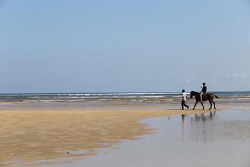 Fototapeta na wymiar Man Riding Horse on beach ocean wave and horse feeder