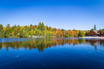 Fall Trees with reflection in lake
