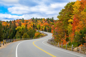 A turning road with fall trees - 172037530