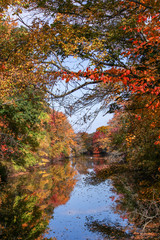 View of a river framed by fall foliage