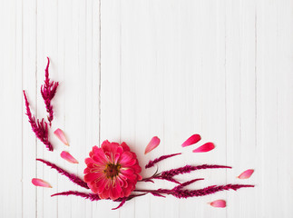 background with zinnia flowers