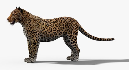 Jaguar (3D) © ANDRANIK