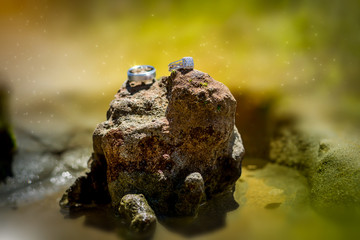 wedding rings