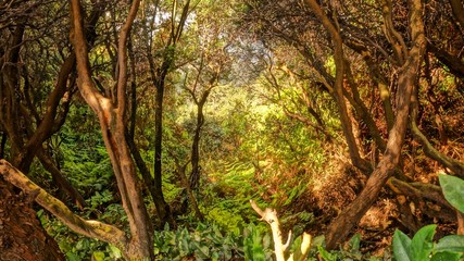 Tunnel to another world
