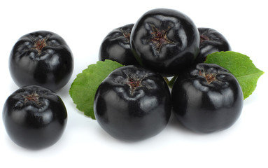 Chokeberry with leaf isolated on white background. Black aronia