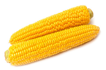 corn on the cob isolated on white background
