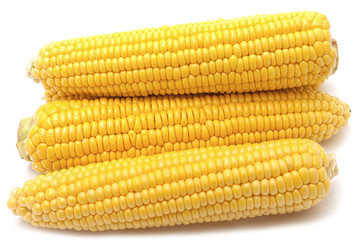 corn on the cob isolated on white background