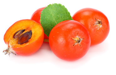red rowan with slice and green leaf isolated on white background. macro
